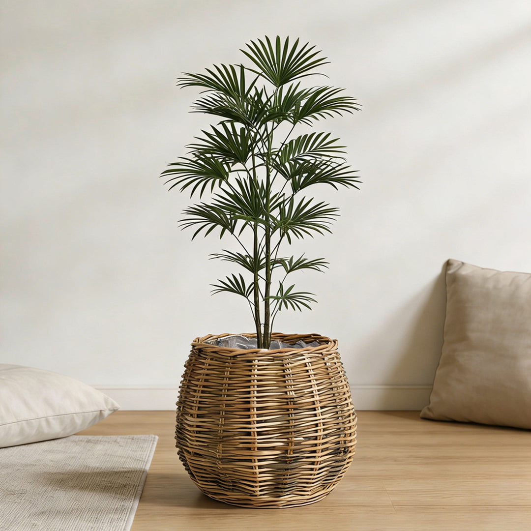 High-quality plant basket made of natural willow Bowlift
