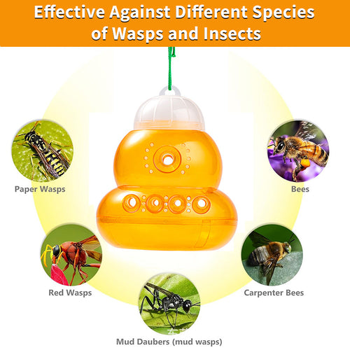 Insect protection trap in modern design Bowlift