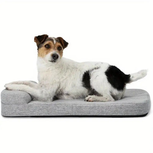 Orthopedic Support Dog Lounge Bed  Dog Bed