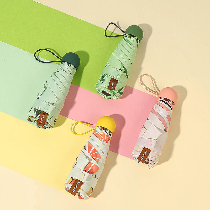 Ladies Insulated Water Bottle with Creative Avocado Packaging Bowlift
