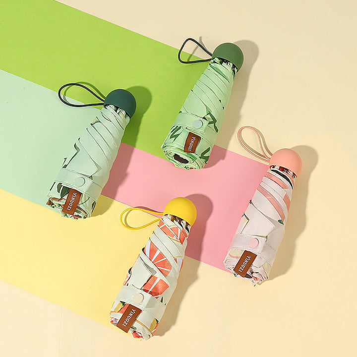 Ladies Insulated Water Bottle with Creative Avocado Packaging Bowlift
