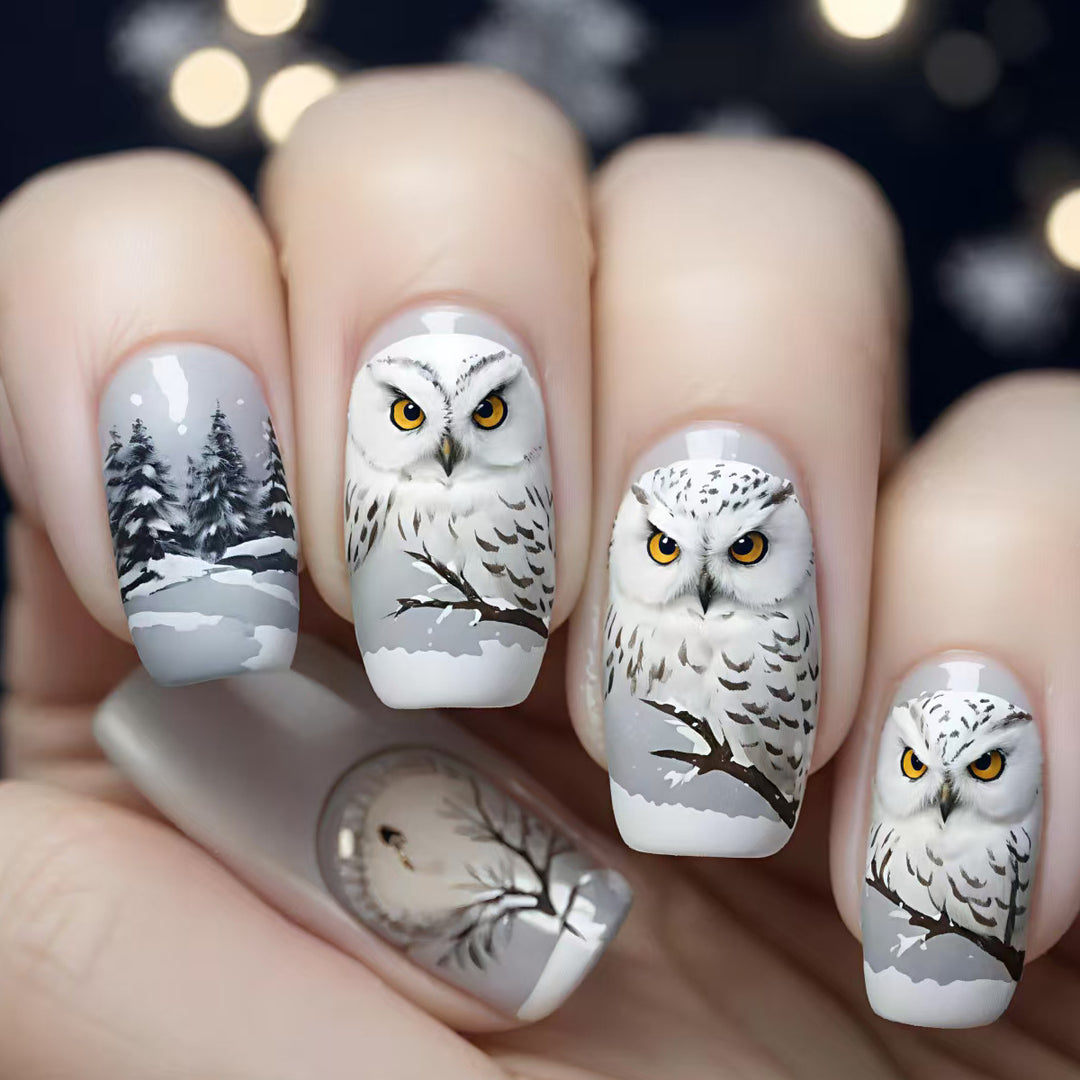Artificial nails with owl design Bowlift