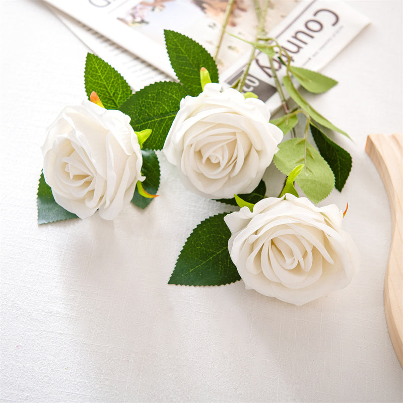 Realistic Elegant Rose Stem