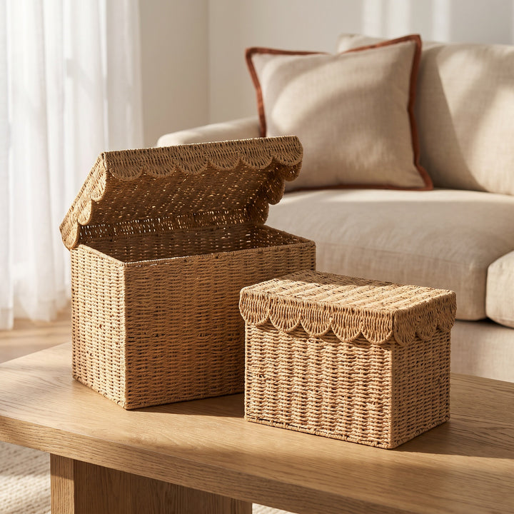 Decorative Woven Storage Chest with Lid Bowlift