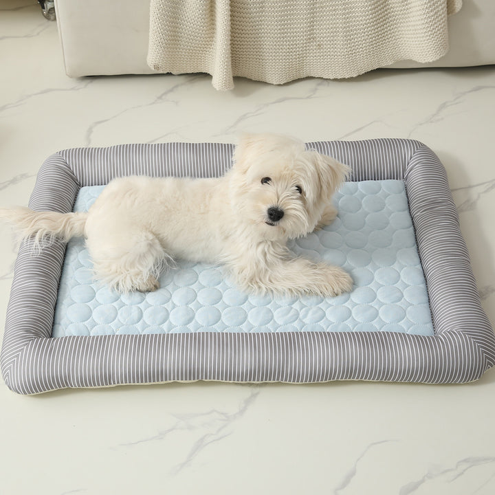 Dog Bed