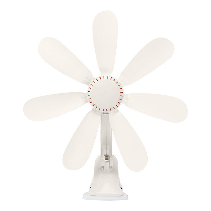 Women's Table Fan Bowlift