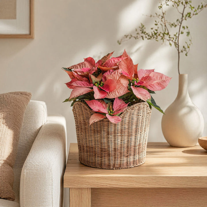 Handmade storage basket in contemporary design Bowlift
