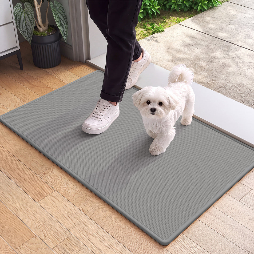 Contemporary Indoor Entryway Mat Bowlift