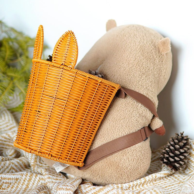 Stylish Woven Handheld Basket Bowlift