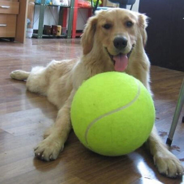 ChewTennis - Inflatable Tennis Pet Toy for Dogs Bowlift