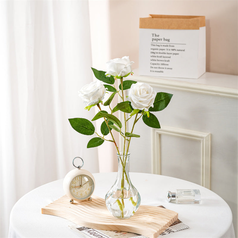 Realistic Elegant Rose Stem