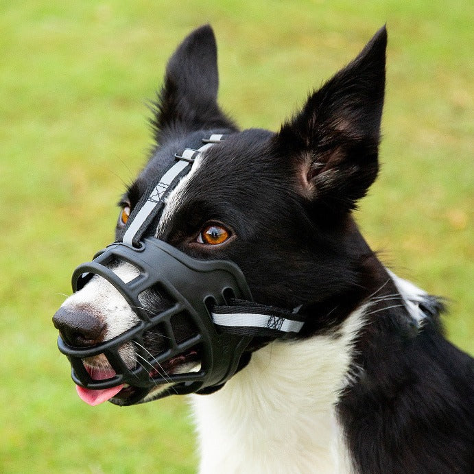 Adjustable Breathable Basket Dog Muzzle Bowlift
