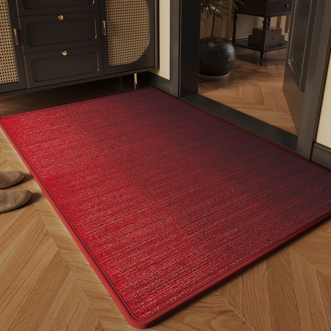 Versatile Indoor Doormat Bowlift