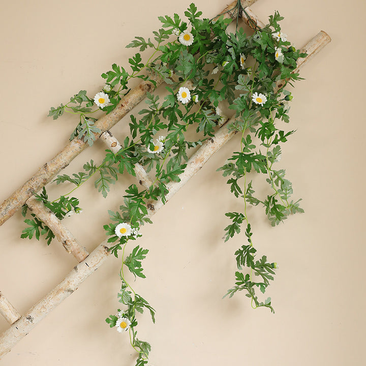 Hanging Decorative Plant Bowlift