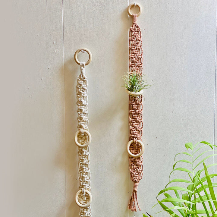 Macrame Wall Plant Holder Bowlift