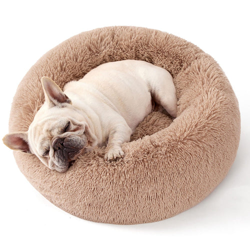 Women Cozy Pet Bed Bowlift