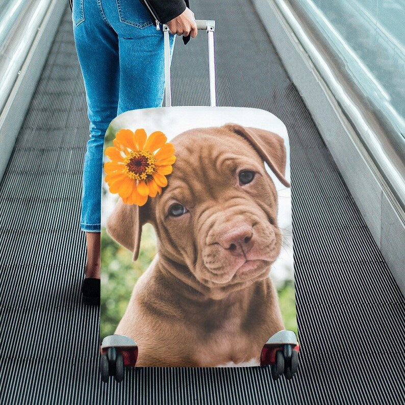 Unisex hard-shell cabin trolley with vintage travel illustration, 360° swivel wheels and telescopic handle Bowlift