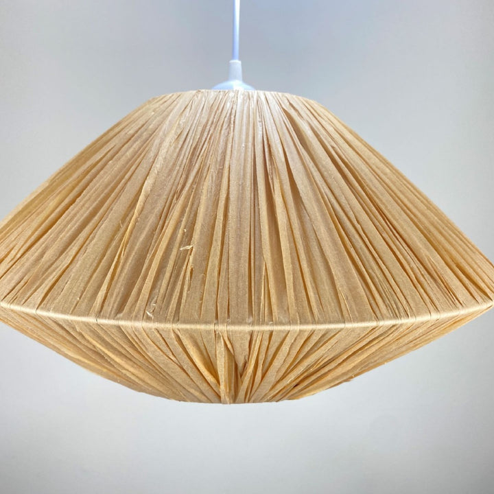 Decorative Hanging Pendant Light Bowlift