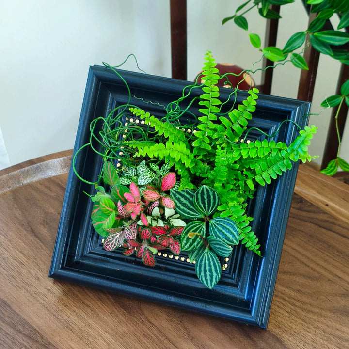 Decorative Plant Shadow Box Frame