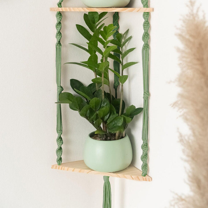 Hanging Plant Holder
