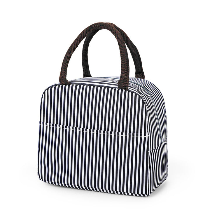 Stylish Insulated Lunch Carrier