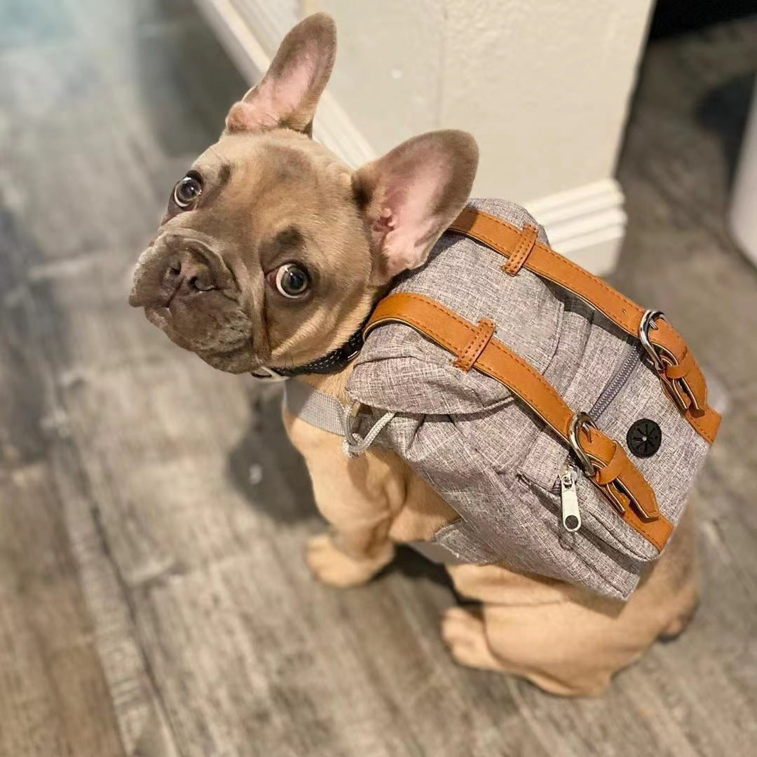 Unisex practical pet backpack with safety closure Bowlift