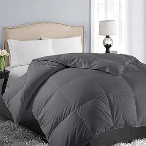 Luxurious All-Season Down Alternative Comforter Bowlift