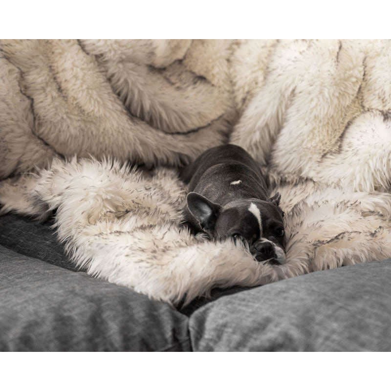 Unisex Snuggle Blanket Bowlift