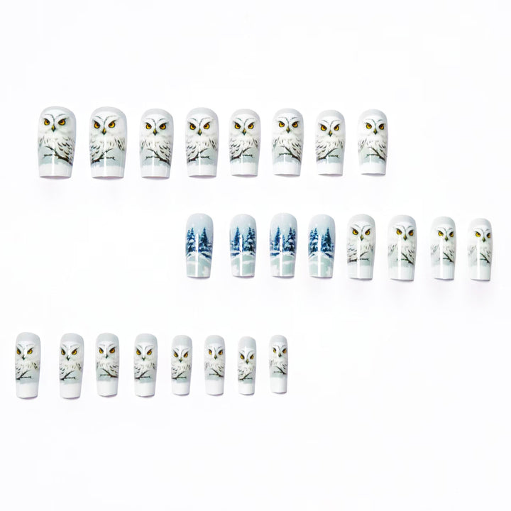Artificial nails with owl design Bowlift