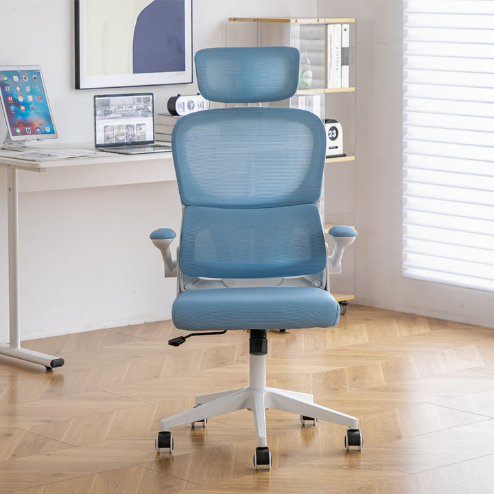Ergonomic Office Chair Bowlift