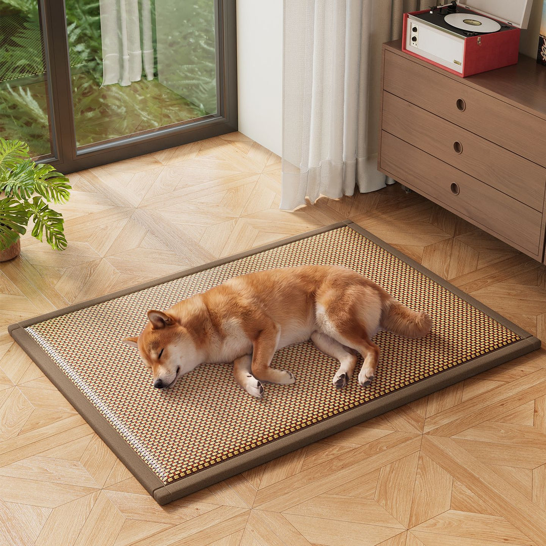 Orthopedic Dog Mat Bowlift
