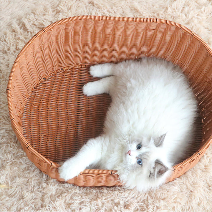 Cat bed Bowlift