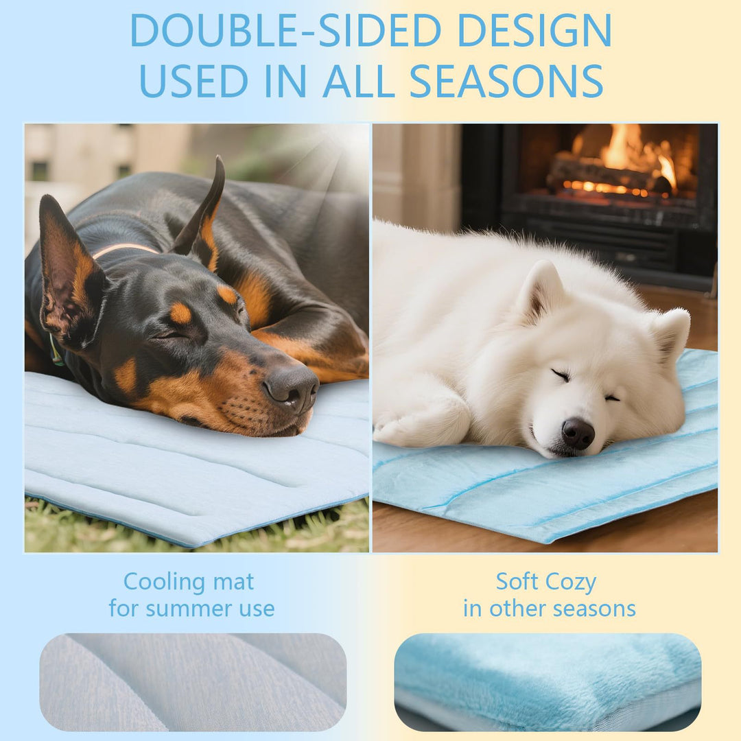 Tier Snuggle Blanket Bowlift