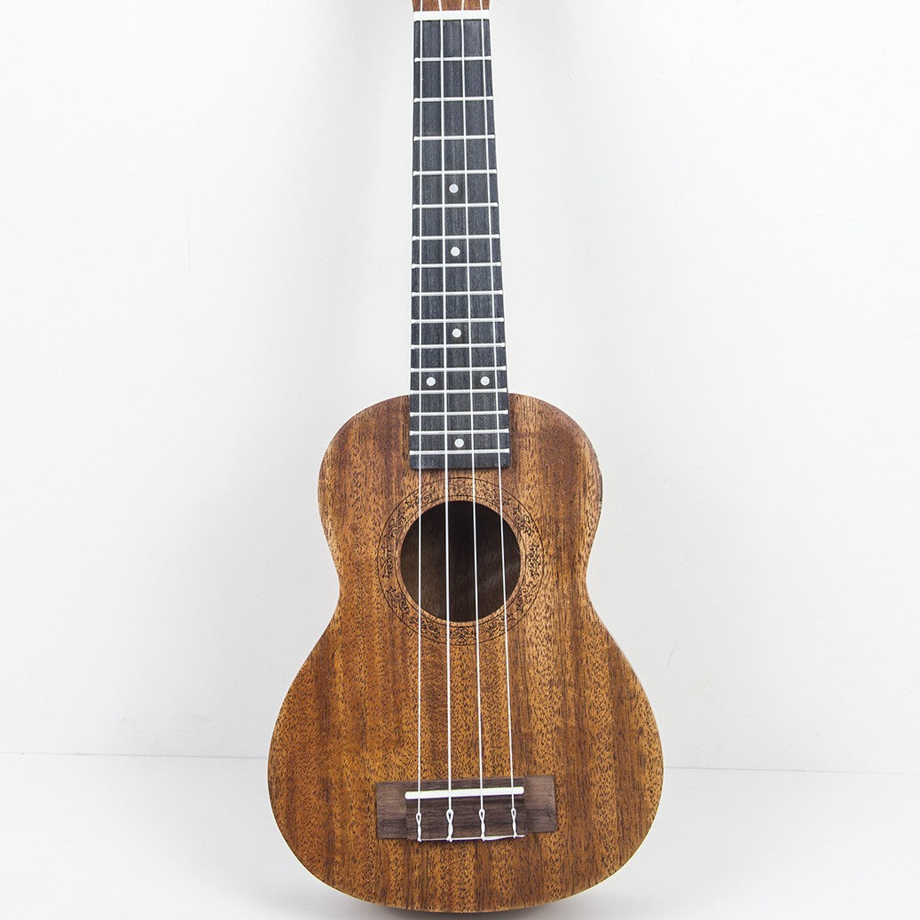Rainbow Acoustic Ukulele Bowlift