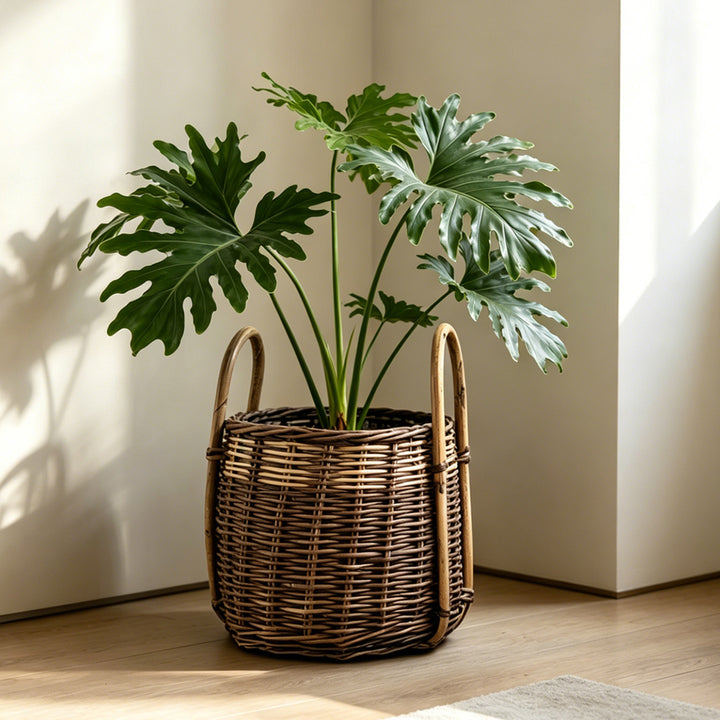 Natural woven storage basket Bowlift