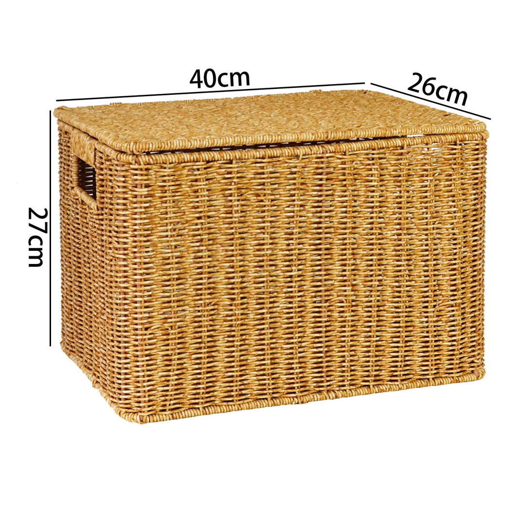 Handwoven Wicker Storage Chest Bowlift