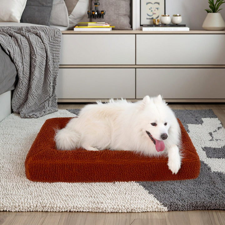 Sculpted Comfort dog bed