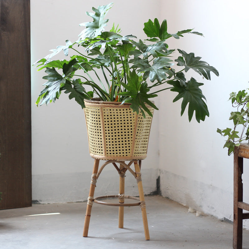 Stylish plant stand made of rattan Bowlift