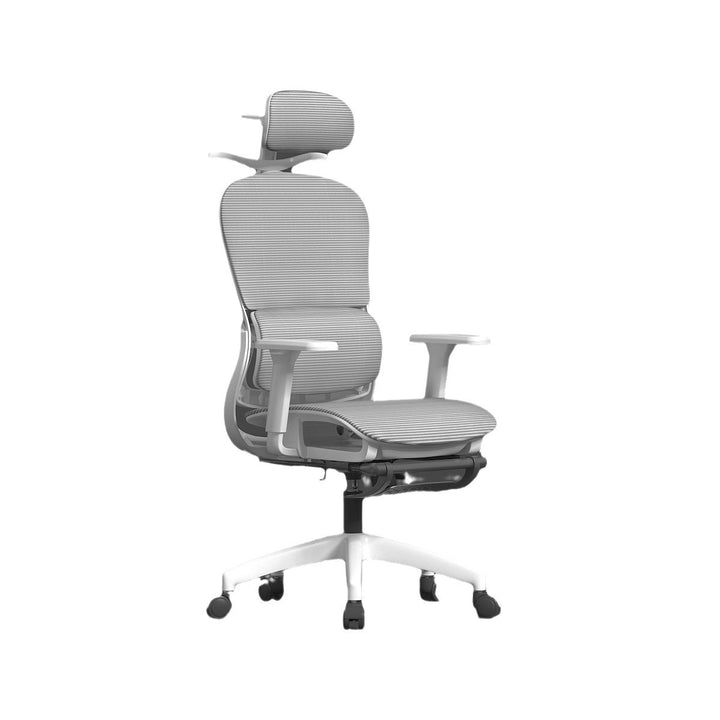 Office Ergonomic Task Chair Bowlift