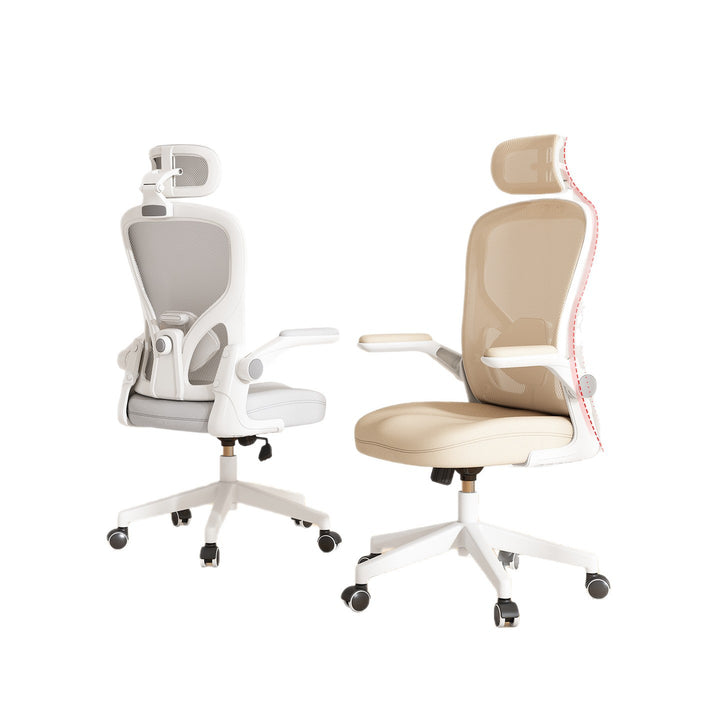 Ergonomic Office Chair Bowlift