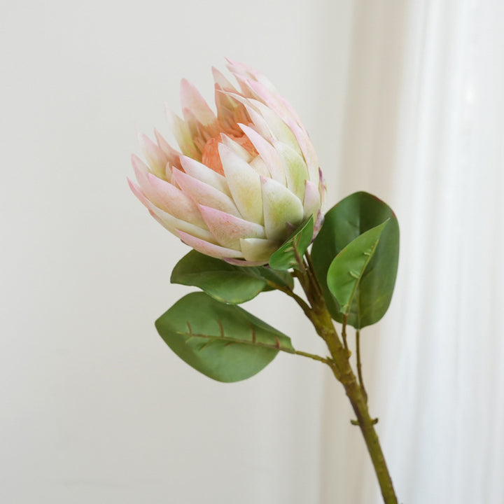 Artificial Protea Flower Bowlift