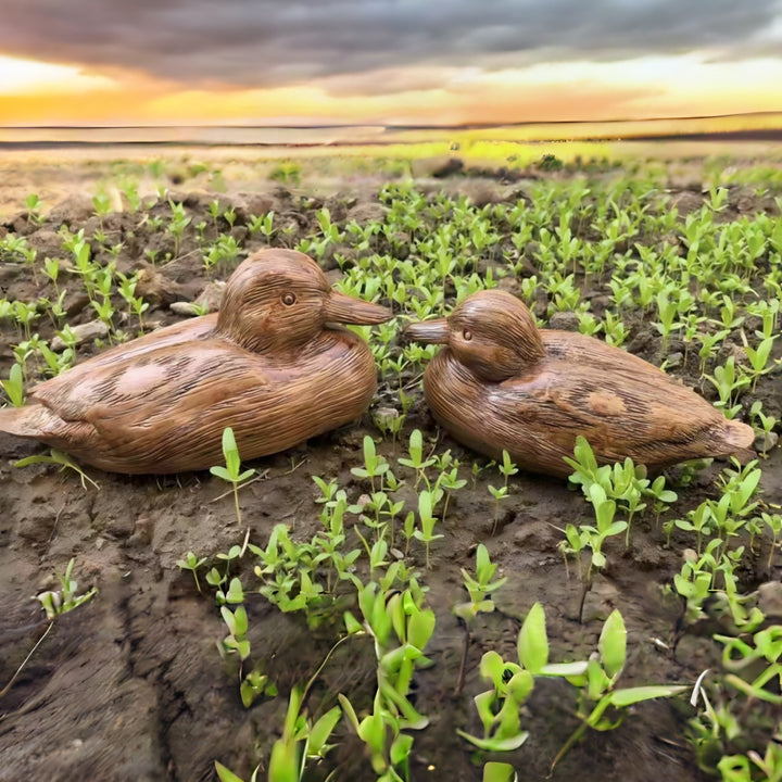 Decorative Duck Figures Bowlift