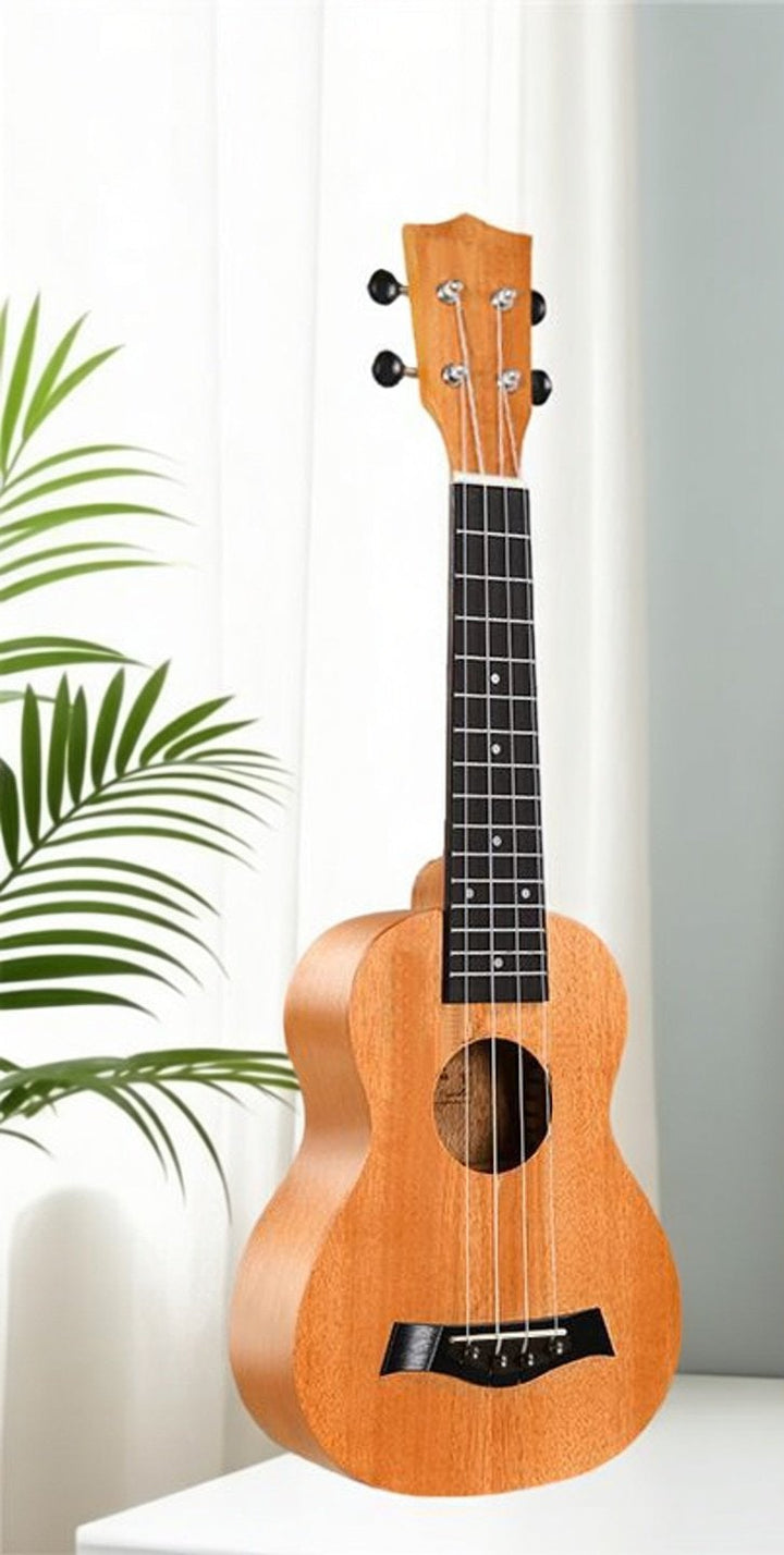 Acoustic Ukulele Bowlift