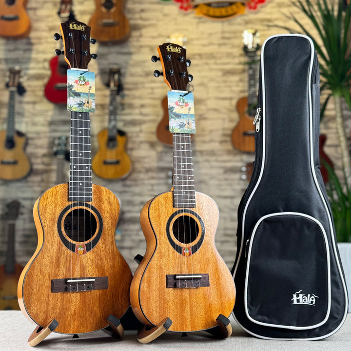 Acoustic Ukulele Bowlift