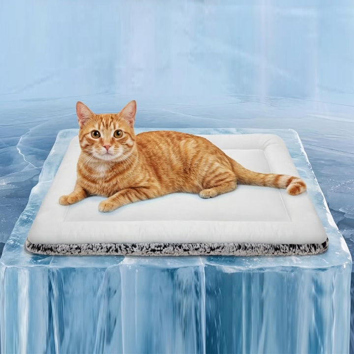 Unisex Cooling Pet Mat Bowlift