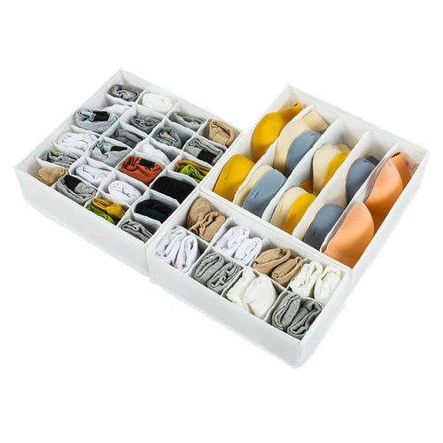 Multi-Compartment Storage Organizer Bowlift