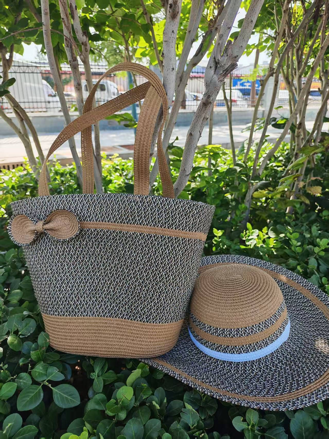 Beach bag Bowlift