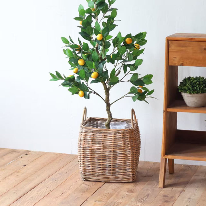 Decorative Basket Bowlift