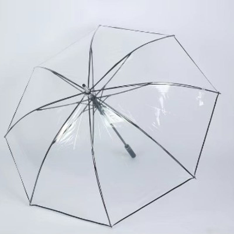 Ladies Transparent Umbrella with Ergonomic Handle Bowlift