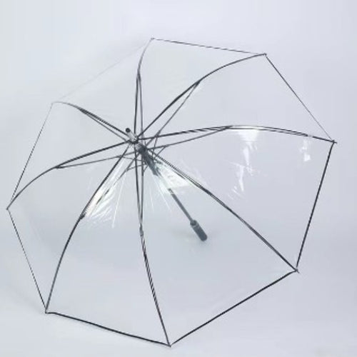 Ladies Transparent Umbrella with Ergonomic Handle Bowlift
